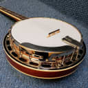 NEW Recording King Madison Mahogany Resonator Banjo B Stock RKR-36-BR