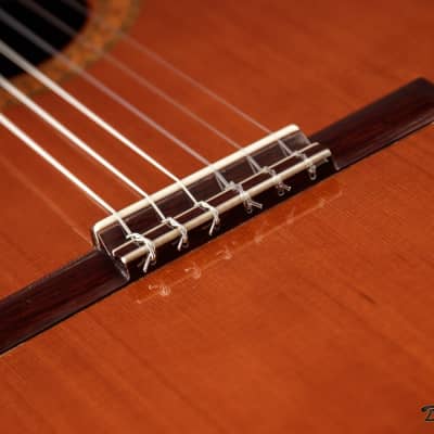 1995 Paris Banchetti Concert Classical, Brazilian Rosewood/Cedar image 14