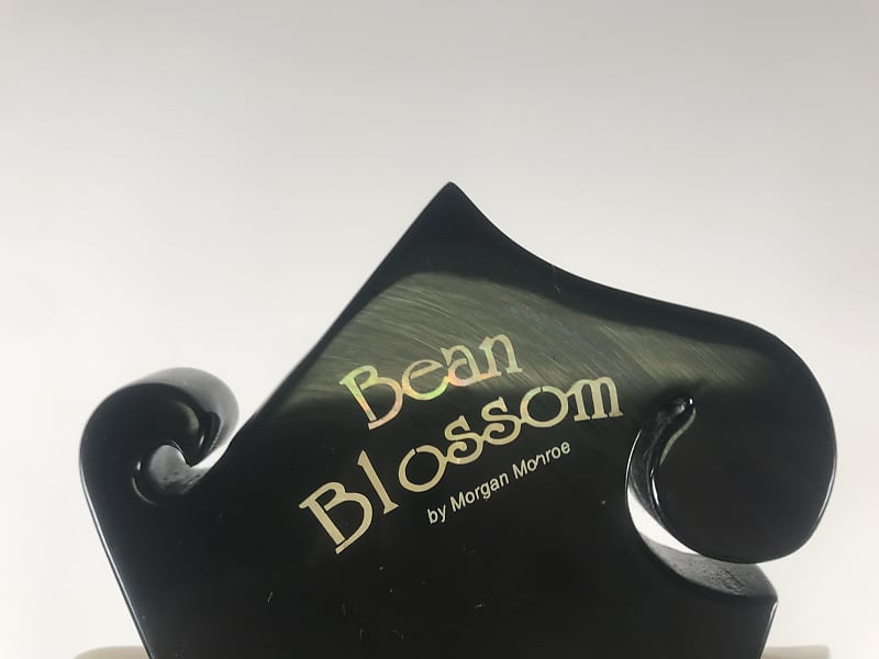 福袋 セール Bean Blossom Morgan Monroe Mandolin | Reverb 弦楽器