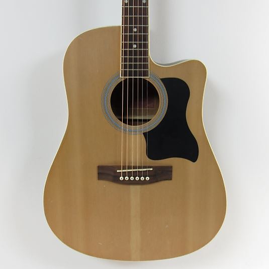 Spectrum AIL41N Acoustic Guitar Natural Reverb