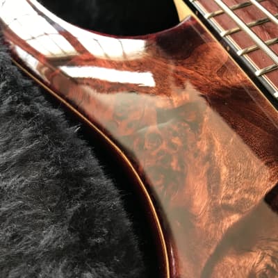 Fibenare 10th Anniversary 5-String Globe Bass #2 of 10 image 9