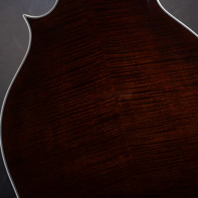 Bourgeois M5-F-BT Black Top Aged F-style mandolin Brand New image 10
