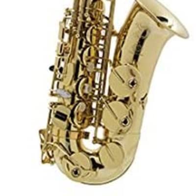 Selmer Paris 52 Axos Series Professional Model Alto Saxophone image 1