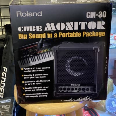 Roland CM-30 Cube Monitor | Reverb