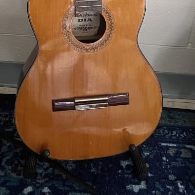 Vintage Pearl Guitar 