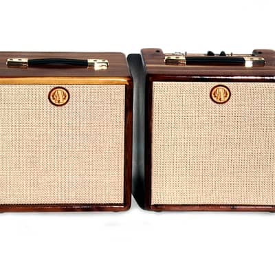 Ashen Stereo 5+5 Watts Custom Solid-State Guitar Amp Cabinet Set image 2