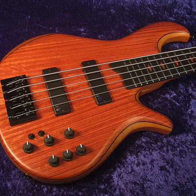 Drake Custom Model 45 Bass 2022, Matte natural, 34 scale,  Aguilar pickups and preamp image 9