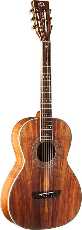 Washburn shop p55 koa