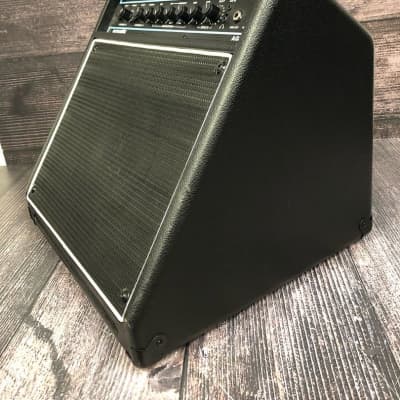 Acoustic AG30 Acoustic Guitar Amplifier (Indianapolis, IN) image 3