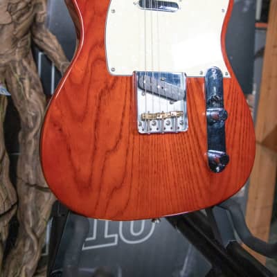 Partscaster Noiseless pickups Tele with a Peavey gig bag (Consignment) image 6