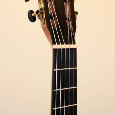 Alvarez RS26NBG Regent Series Student Model Acoustic Guitar Burgundy image 10