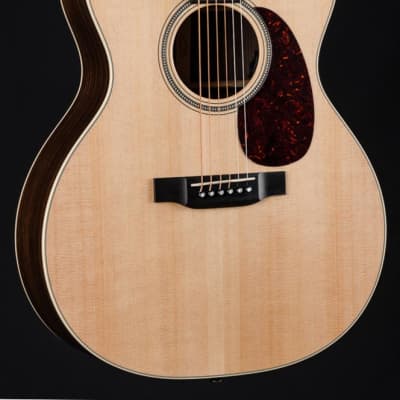 Martin GPC-16E Indian Rosewood and Sitka Spruce NEW image 1