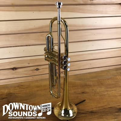 D. C. Pro Series II Bb Trumpet for sale