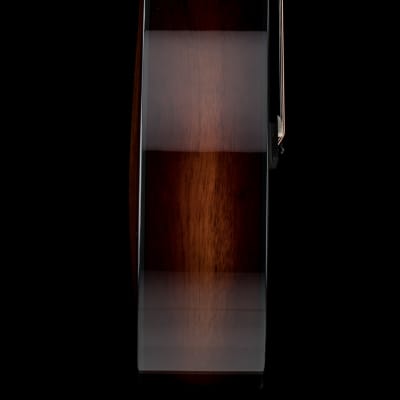 Taylor 222ce-K DLX #13375 (Demonstration Model) image 6