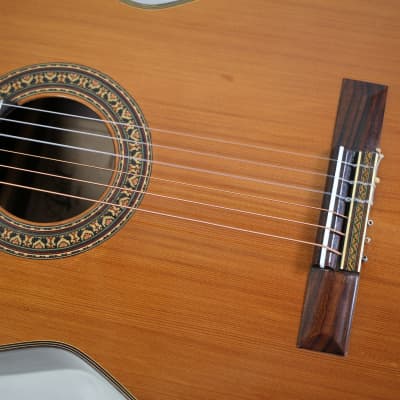 Rare Vintage Classical Ariel (Aria) Acoustic Guitar Model 53 Laminate Wood MIJ image 12