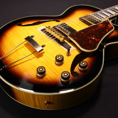Ibanez Exceptional Ibanez Artcore AG95 DBS 12 01 Abalone Ibanez Exceptional Ibanez Artcore AG95 DBS 12 01 Abalone