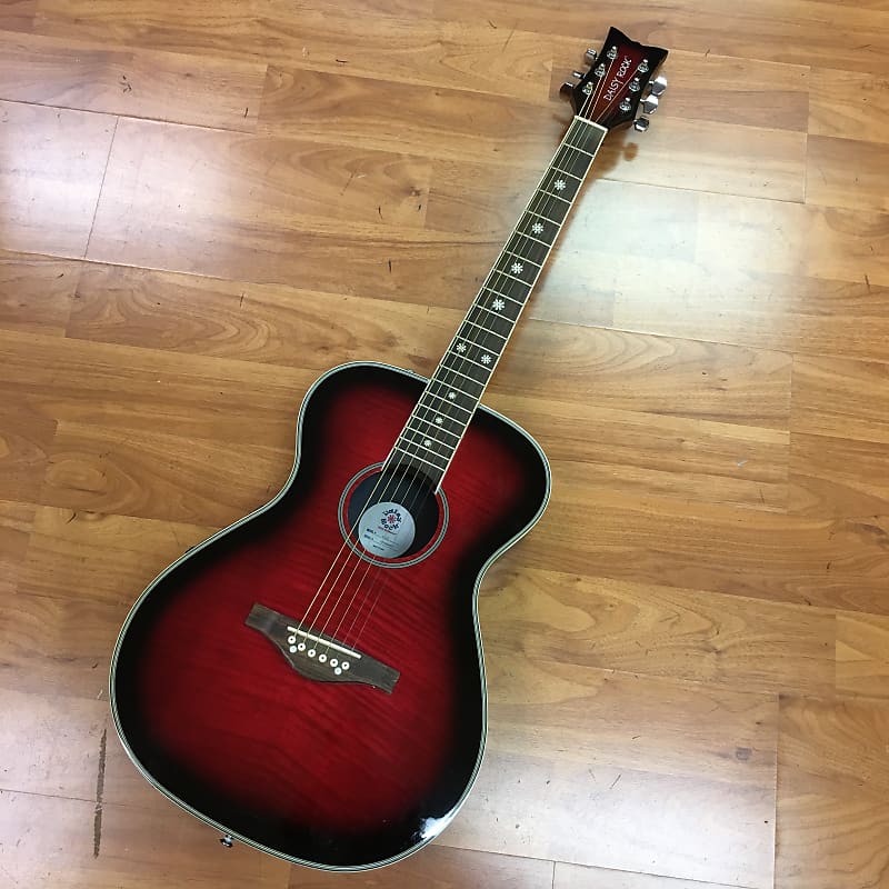 え\"マジ‼︎驚きの3日間‼️【大幅お値下げ】DAISY ROCK エレアコギター え