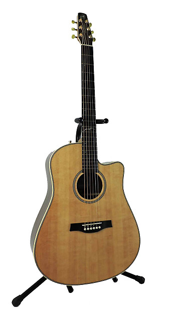 Seagull Artist Studio CW Deluxe Element L.R. Baggs Godin TRIC Case