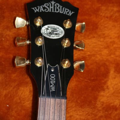 USA Custom Shop Washburn WM100 - Heavily Upgraded image 3
