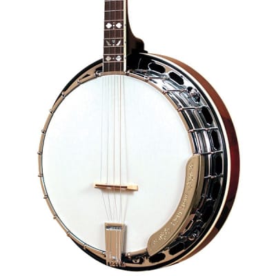 Gold Tone TS-250 4-String Flat Top Resonator Tenor Special Banjo Left-Handed TS-250 LH w/case image 1