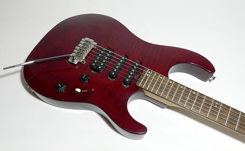 Washburn Mg 701