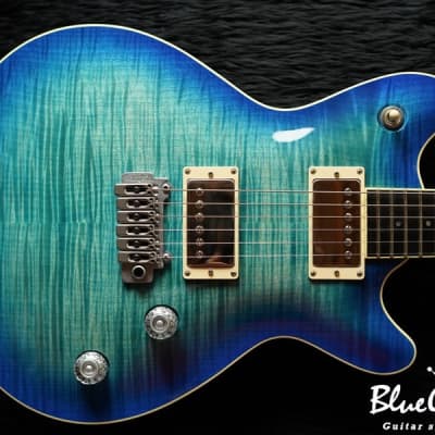 Brush eight / 【SOLD】T's Guitars Arc-STD 24 VS100N 
