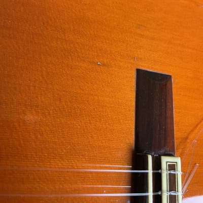 Ramirez Clase 1a 1978 Cedar with VIDEO demo - fantastic condition from the Ramirez glory days image 5