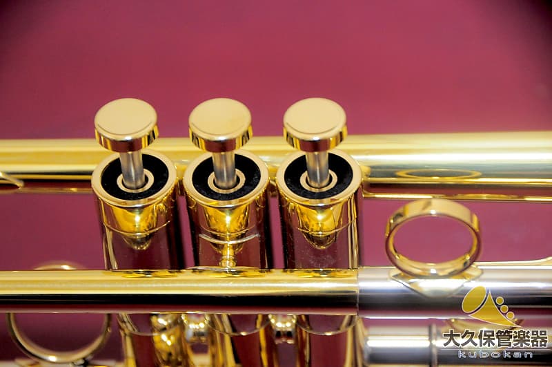 Brasspire Unicorn BPTR-900HNL B♭ Trumpet | Reverb