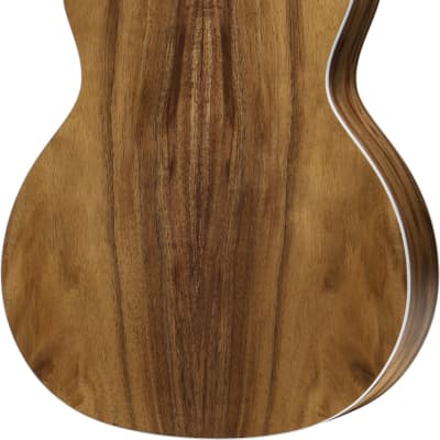 Taylor 214ce-N Nylon Rosewood Grand Auditorium Classical Acoustic-Electric Guitar (with Gig Bag) image 3