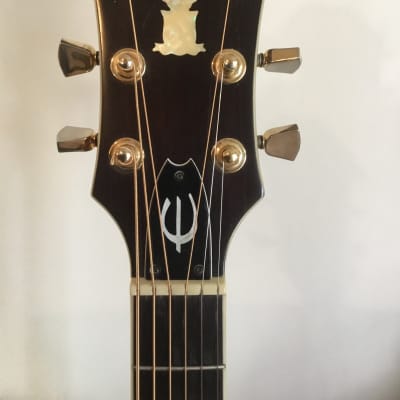 Epiphone NV 390 J 1977 to 1979 Natural | Reverb