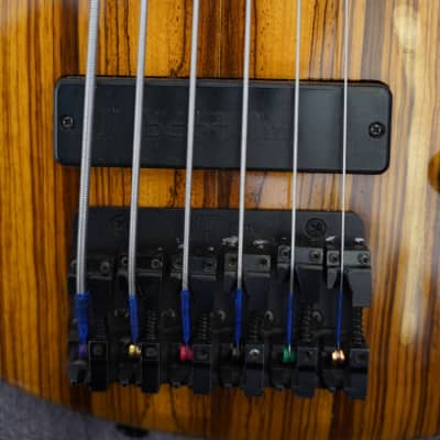 Roscoe SKB-3006 - ZEBRA TOP - Fretless 6 string bass image 10