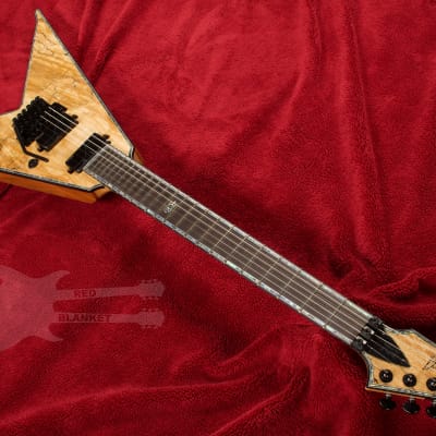 B.C. Rich JRV Extreme Exotic with Floyd Rose Spalted Maple image 3