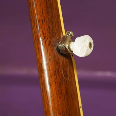 1970s Epiphone (Japan) Mastertone-Style Resonator 5-String Banjo (VIDEO! Lightweight, Fresh Repairs) image 13