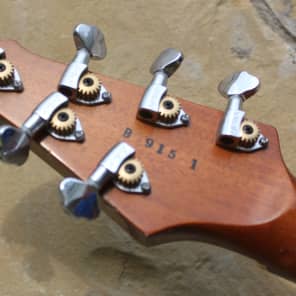 RS Guitarworks Blaze | Reverb