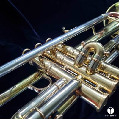 D. Calicchio 1s7 ML Sterling Silver leadpipe trumpet case gamonbrass image 17
