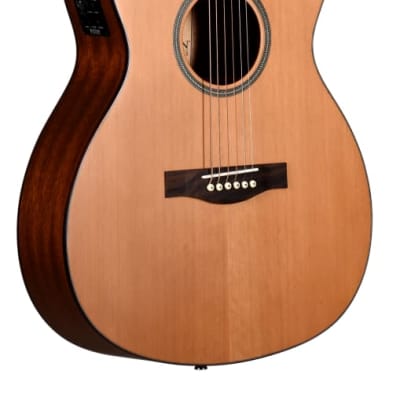 Teton STG105CENT Cedar Top Grand Concert Acoustic-Electric, Free Shipping for sale