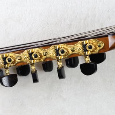RARE Lucio Nuñez 10-String Classical Harp Guitar w/Cutaway, Arm Rest, Sound Port, Cedar/Cocobolo, TKL Hardshell Case image 9