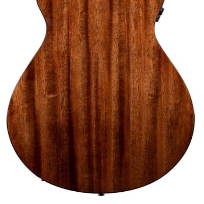 Breedlove Organic Wildwood Pro Concertina CE Acoustic-electric Guitar - Suede image 4