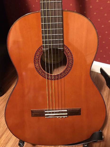 Fender online cg7 price