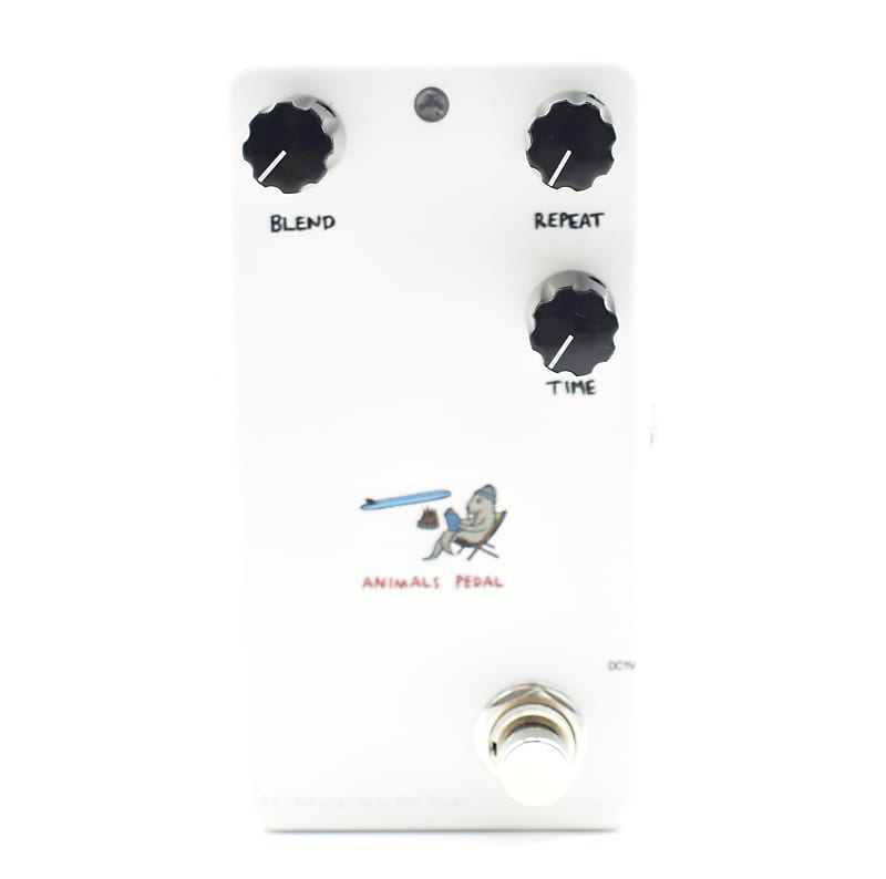 Animals Pedal Relaxing Walrus Delay 02