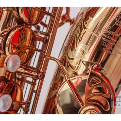 Saxo alto Wood Stone Ishimori Super Custom VL image 6