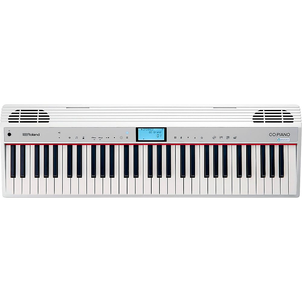 Roland GO-61P-A GO:PIANO with Alexa Built-in 61-Key Digital | Reverb