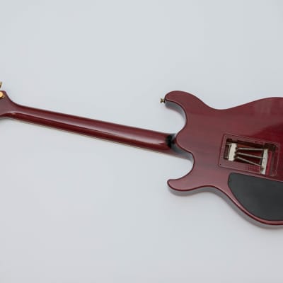 Caparison Angelus ACE Signature | Reverb