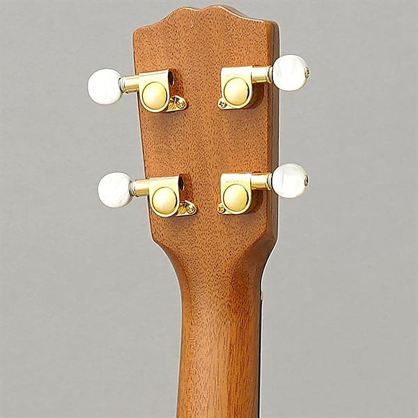 G-String [Financial SALE] T4CB Tenor Custom Binding [#13500519] [Outlet]