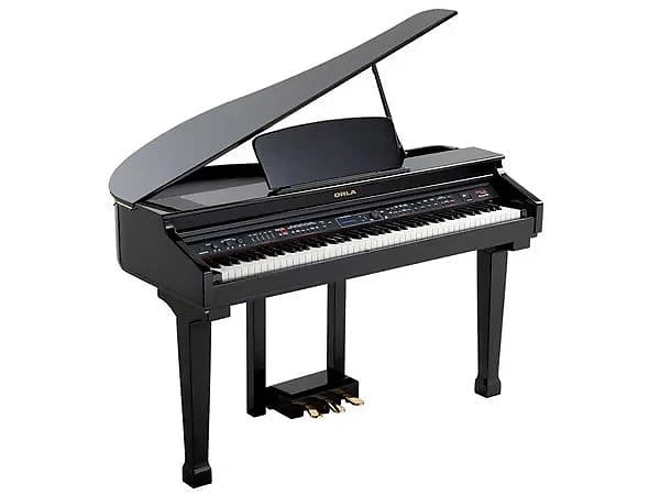 ORLA – GRAND 12O Digital Piano - Black (LOCAL DELIVERY AVAILABLE, CONTACT US)! image 1