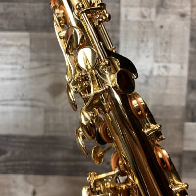 Giardinelli Giardinelli GAS-12 Series Alto Saxophone by Selmer