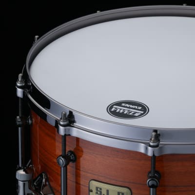 Tama  S.L.P. G-Maple 14"x7" Snare Drum Maple/Zebrawood Tangerine Gloss Limited Edition 2022! image 2