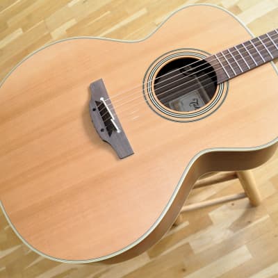 TAKAMINE EN20 Natural Series / Made In Japan / Acoustic-Electric Jumbo Size / Limited Edition for sale