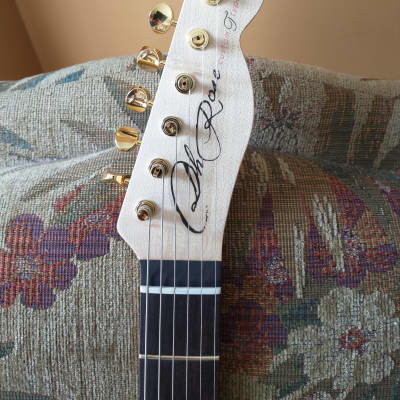 Custom built "T" style guitar – Chambered Swamp Ash image 4