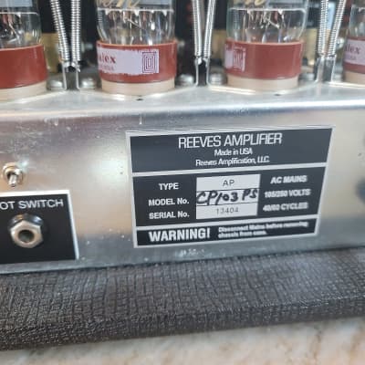 Reeves Amplification image 3